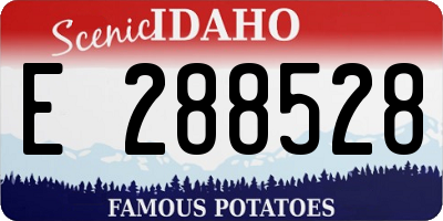 ID license plate E288528