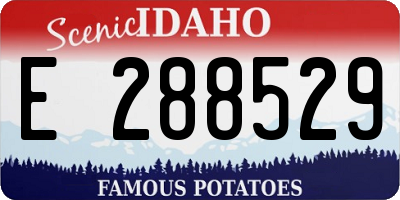 ID license plate E288529