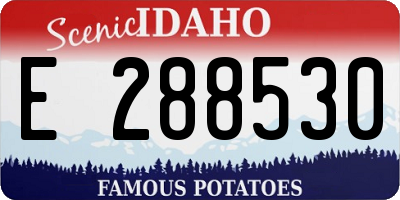 ID license plate E288530
