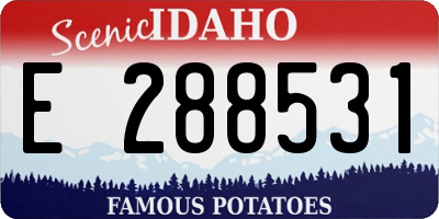 ID license plate E288531