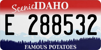 ID license plate E288532