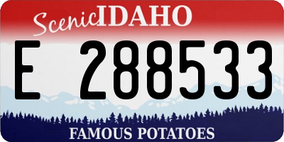 ID license plate E288533