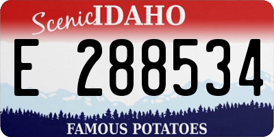 ID license plate E288534