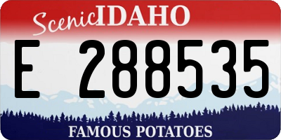 ID license plate E288535