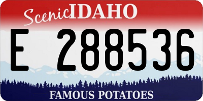 ID license plate E288536