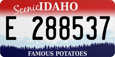 ID license plate E288537