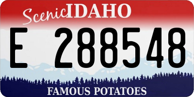 ID license plate E288548