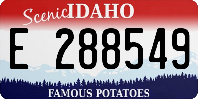 ID license plate E288549