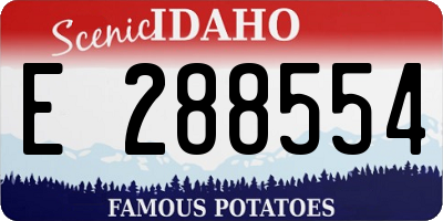 ID license plate E288554