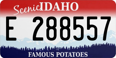 ID license plate E288557