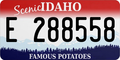 ID license plate E288558