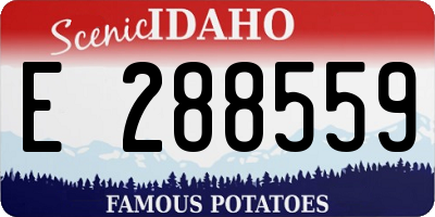 ID license plate E288559