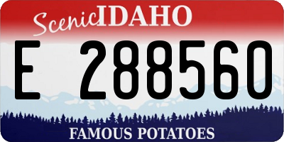 ID license plate E288560