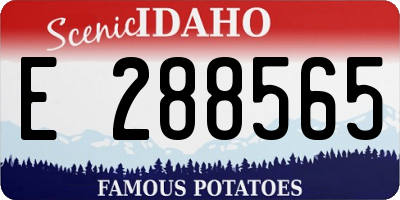 ID license plate E288565