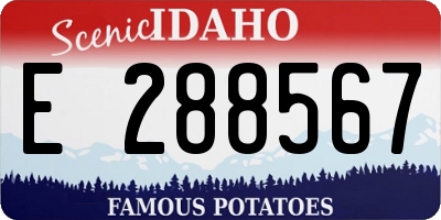 ID license plate E288567