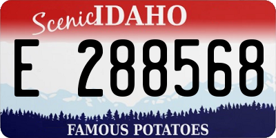 ID license plate E288568