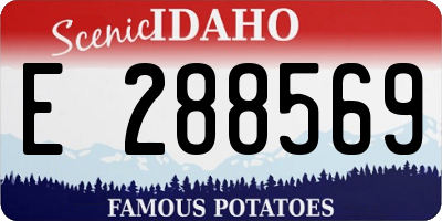 ID license plate E288569