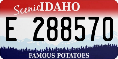 ID license plate E288570