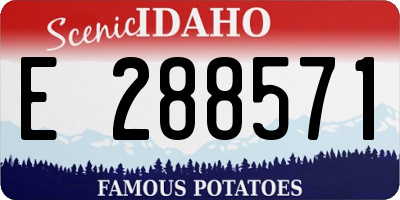 ID license plate E288571