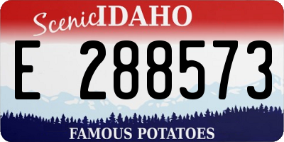 ID license plate E288573