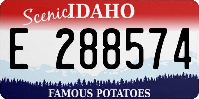 ID license plate E288574