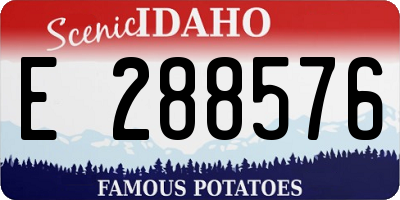 ID license plate E288576