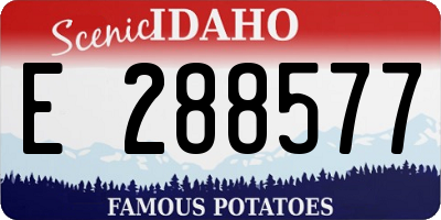 ID license plate E288577