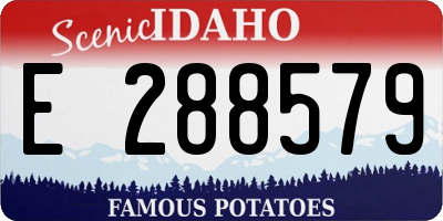ID license plate E288579