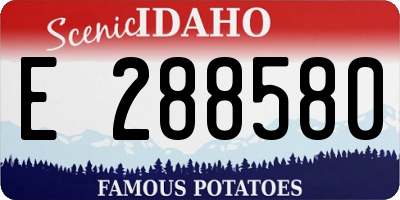 ID license plate E288580
