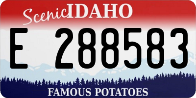ID license plate E288583