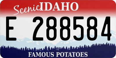 ID license plate E288584