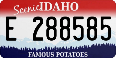 ID license plate E288585