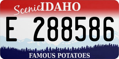 ID license plate E288586
