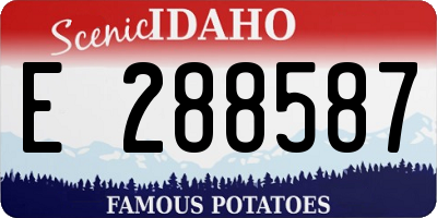 ID license plate E288587
