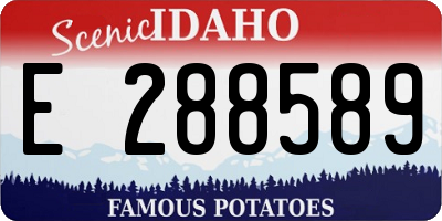 ID license plate E288589