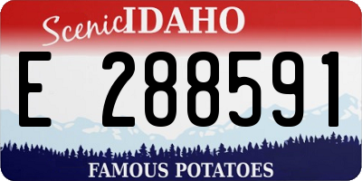 ID license plate E288591