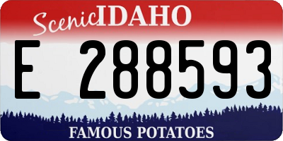 ID license plate E288593
