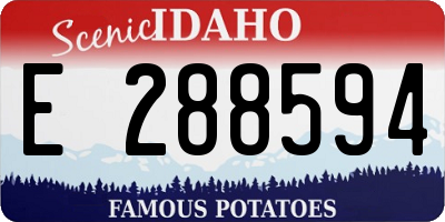 ID license plate E288594