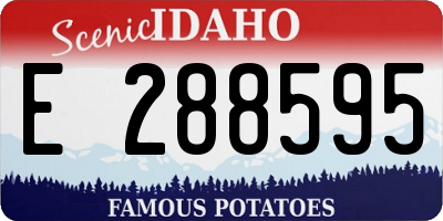 ID license plate E288595