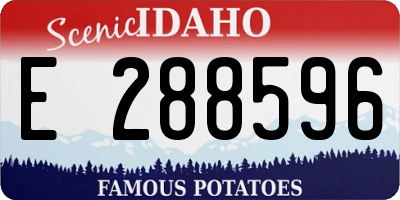ID license plate E288596