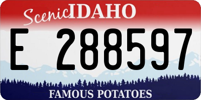 ID license plate E288597