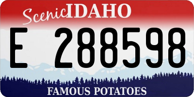 ID license plate E288598