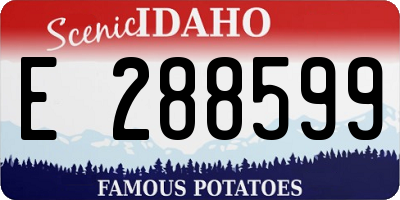 ID license plate E288599