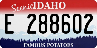 ID license plate E288602