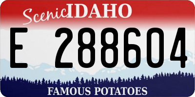 ID license plate E288604