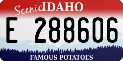 ID license plate E288606