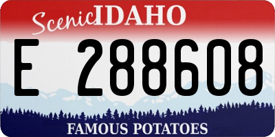 ID license plate E288608