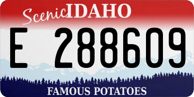 ID license plate E288609
