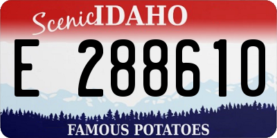 ID license plate E288610