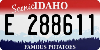 ID license plate E288611
